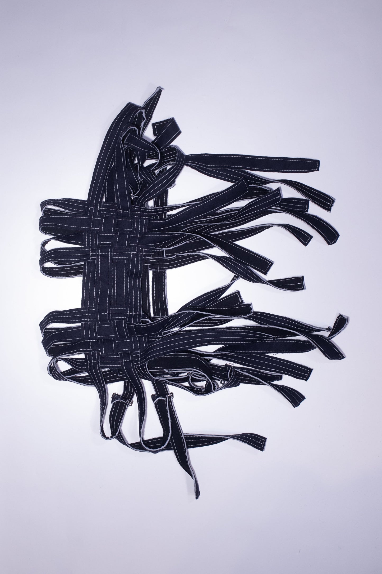 alpine harness