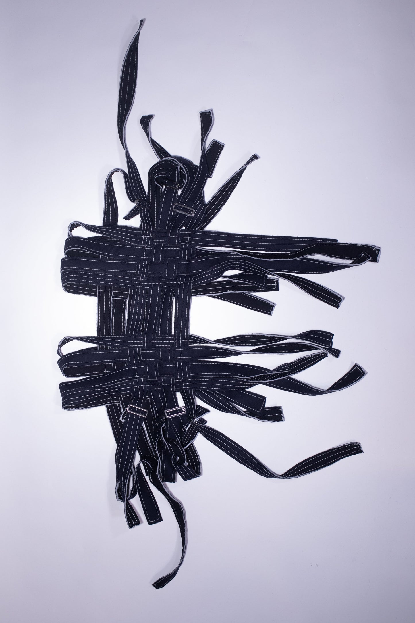 alpine harness