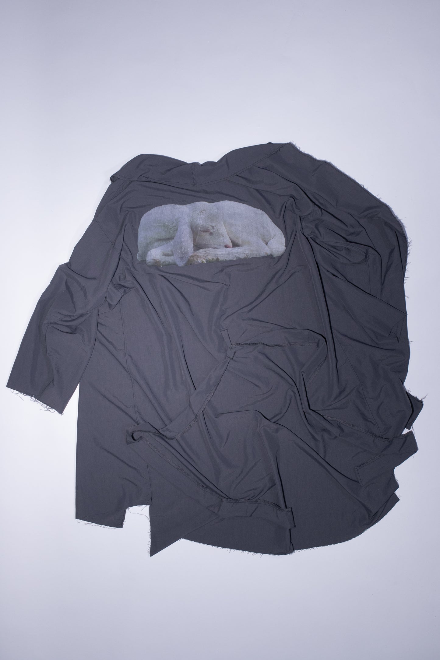sleeping lamb trench coat