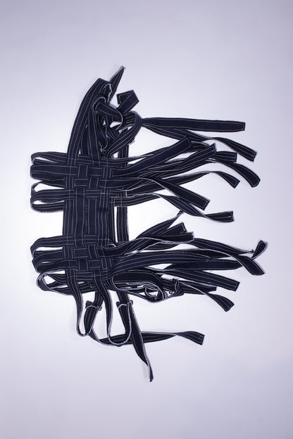 alpine harness