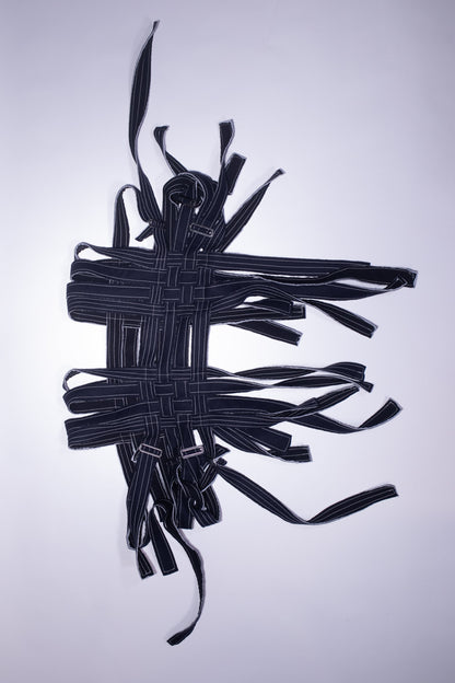 alpine harness
