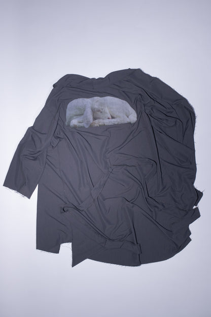 sleeping lamb trench coat