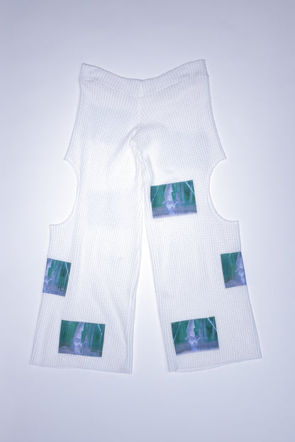 raccoon pants